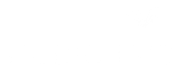 StudioFrid Logo